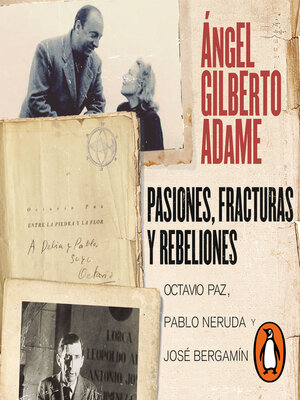 cover image of Pasiones, fracturas y rebeliones